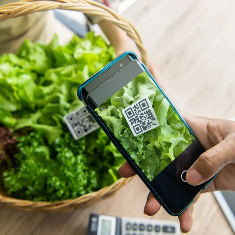 A phone scanning a QR code on a basket of lettuce