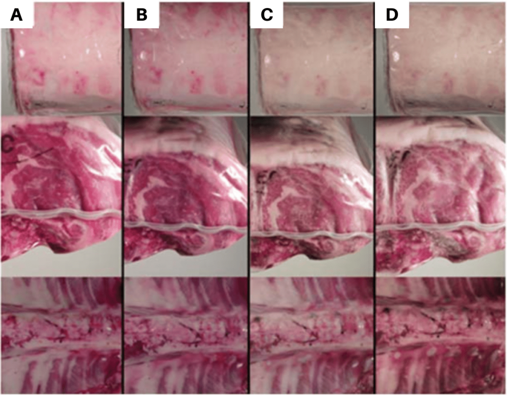 Different images showing the stages meat goes through over time