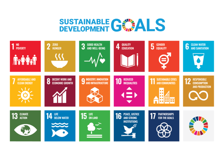 Overview of the sustainable development goals